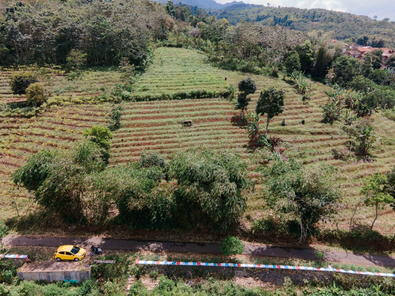 Main property image